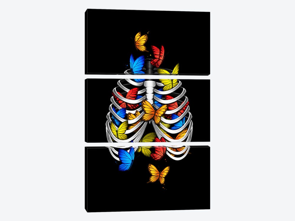Butterflies in my stomach by Tobias Fonseca 3-piece Canvas Print