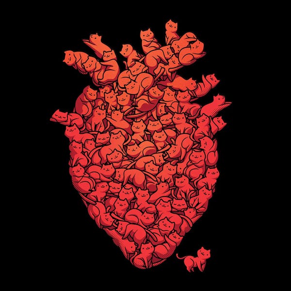 Tobias Fonseca: I Love Cat Heart by Tobias Fonseca