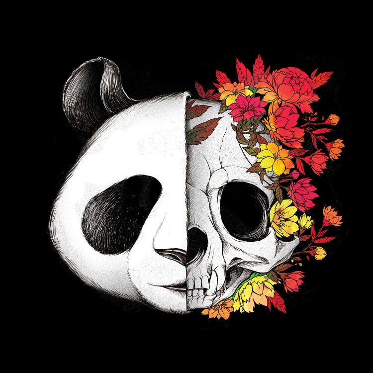 Panda Skull Rock