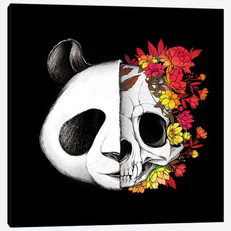 Panda Skull Rock Canvas Print #TFA729} by Tobias Fonseca Canvas Art