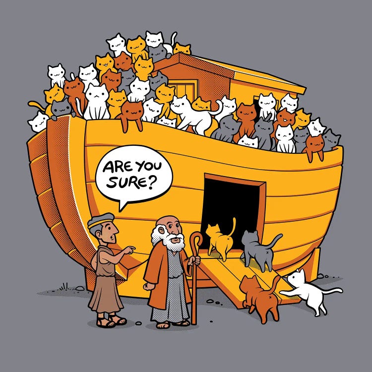 Noah's Ark Cat