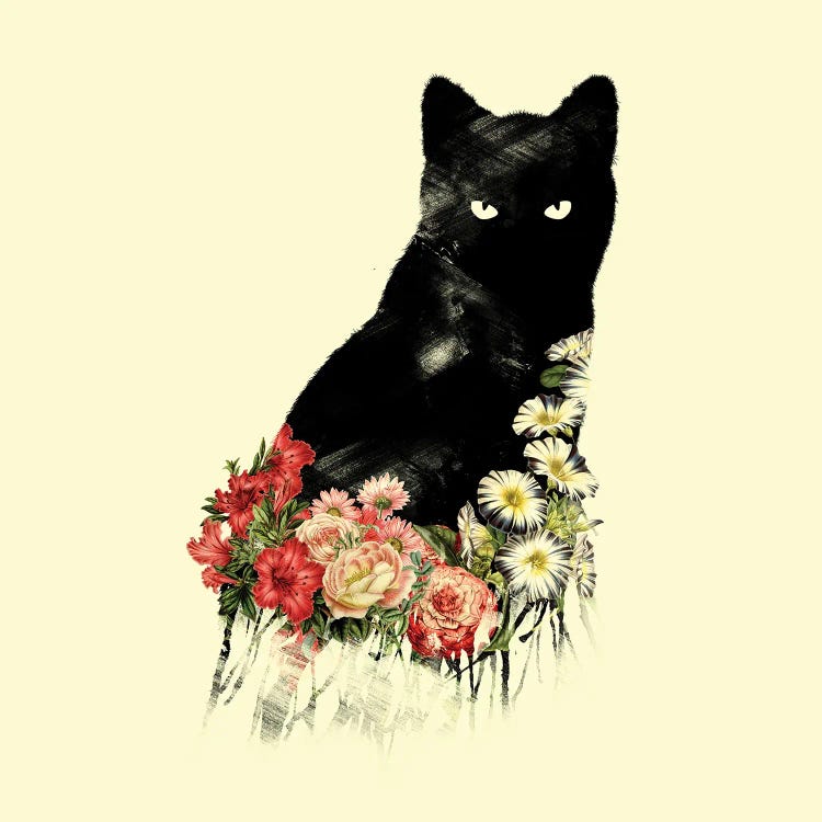 Black Cat Vintage Flower Good Luck