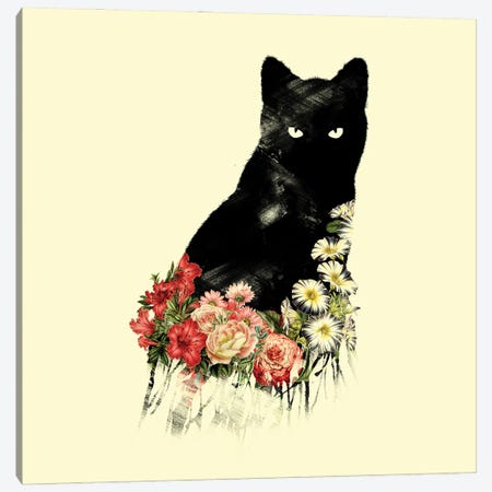 Black Cat Vintage Flower Good Luck Canvas Print #TFA768} by Tobias Fonseca Canvas Wall Art