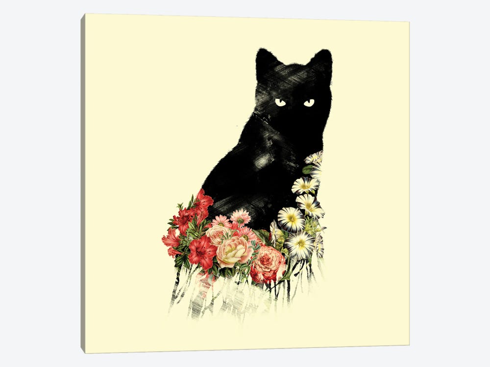 Black Cat Vintage Flower Good Luck by Tobias Fonseca 1-piece Canvas Art