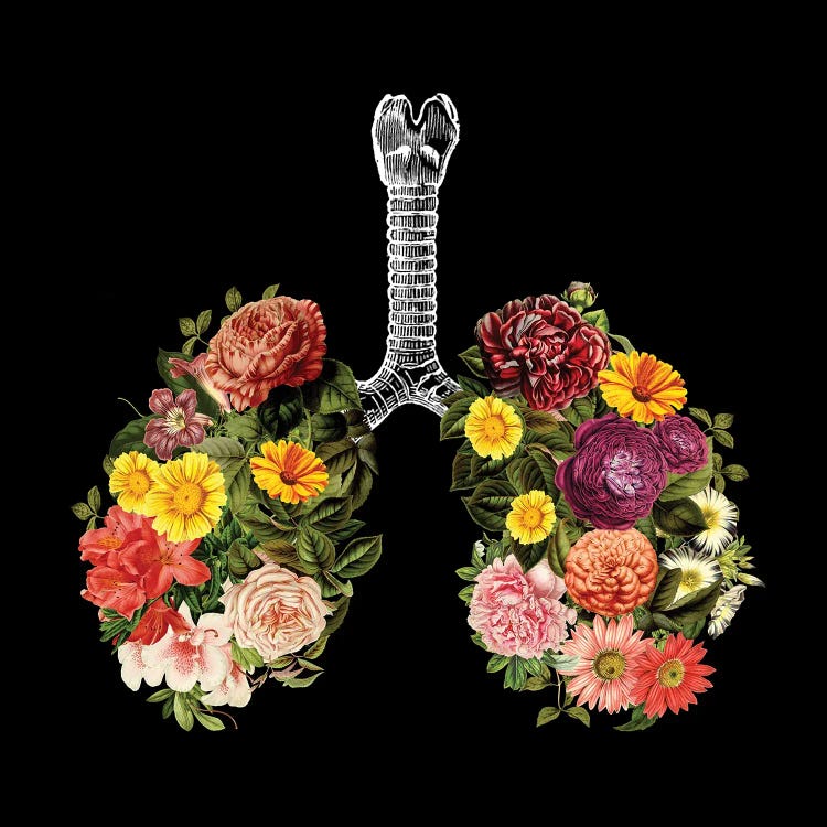 Breathing Spring Flower Lungs Black