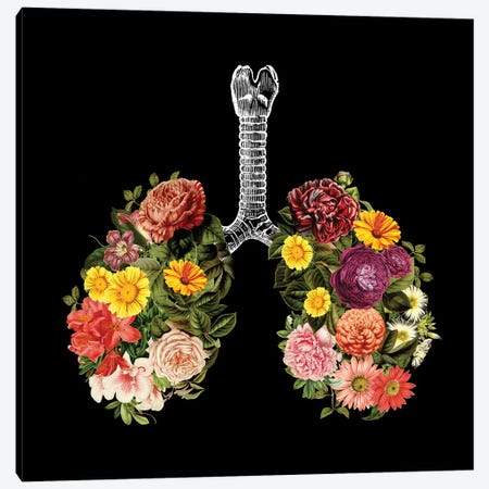 Breathing Spring Flower Lungs Black Canvas Print #TFA769} by Tobias Fonseca Canvas Art