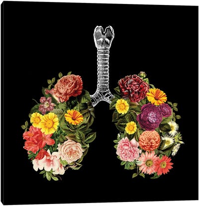 Breathing Spring Flower Lungs Black Canvas Art Print - Skeleton Art