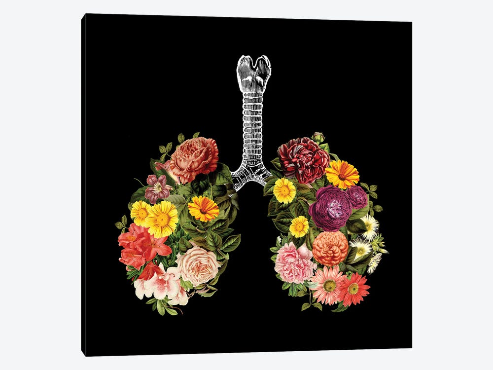 Breathing Spring Flower Lungs Black by Tobias Fonseca 1-piece Canvas Art Print