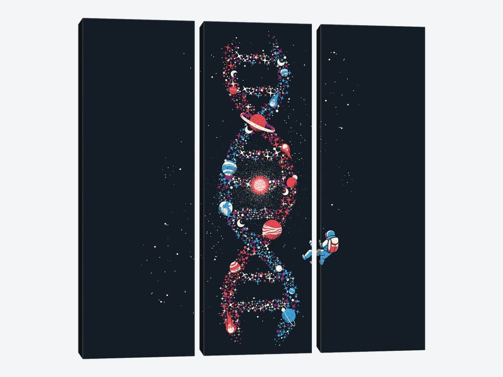Dna Astronaut Galaxy We Are Stardust by Tobias Fonseca 3-piece Canvas Wall Art
