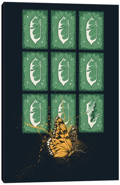 Persistence Canvas Art Print - Caterpillars