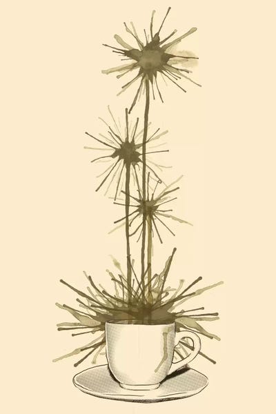 Minimalist Décor: Midnight Flower by Tobias Fonseca