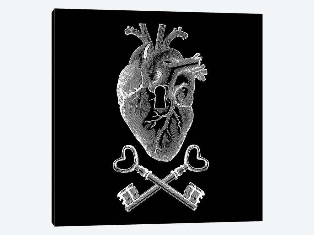 Keyhole Pirate Heart by Tobias Fonseca 1-piece Canvas Artwork