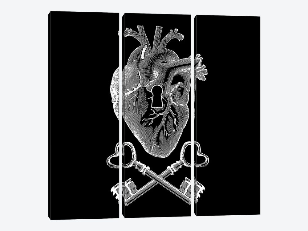Keyhole Pirate Heart by Tobias Fonseca 3-piece Canvas Art