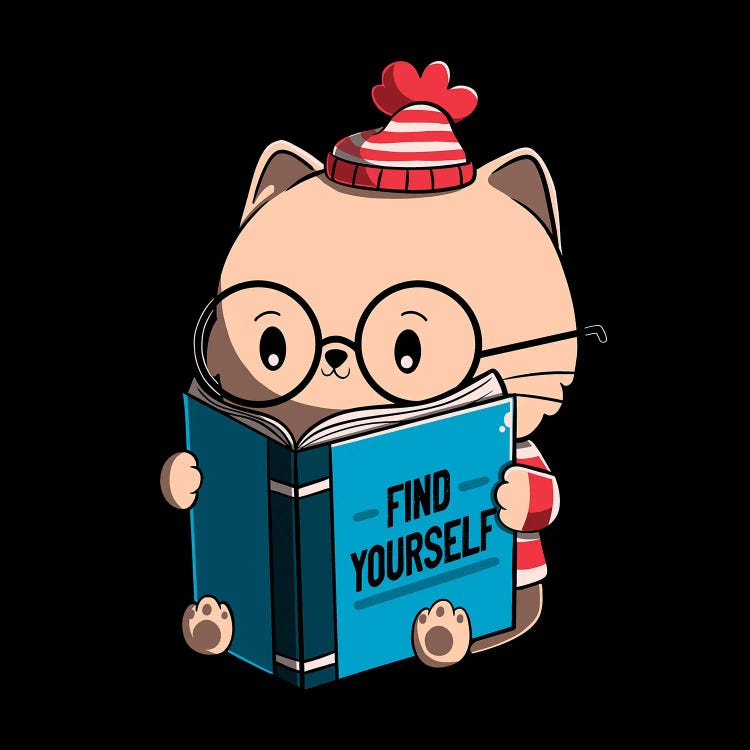 Find Yourself Journey Healing Cat Book