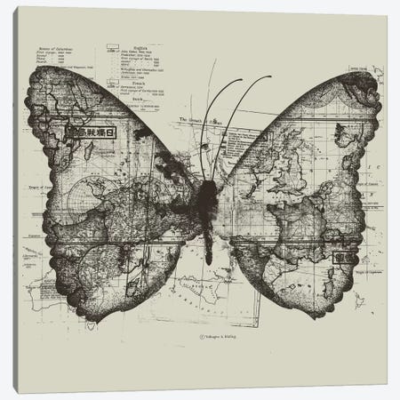 Butterfly Effect Canvas Print #TFA92} by Tobias Fonseca Canvas Art Print