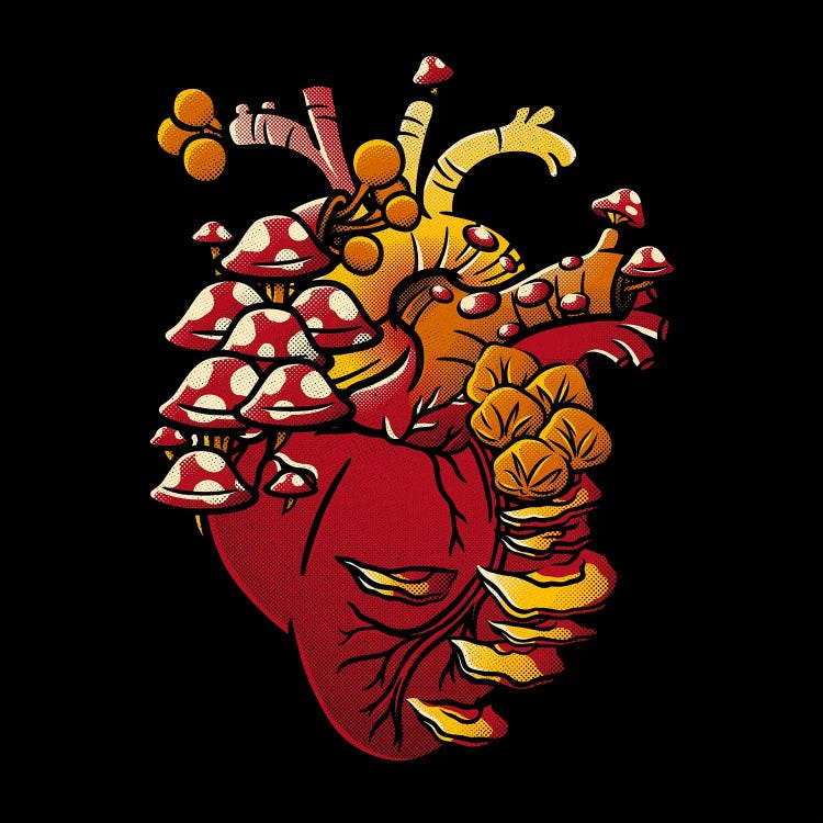 Cordyceps Fungi Heart