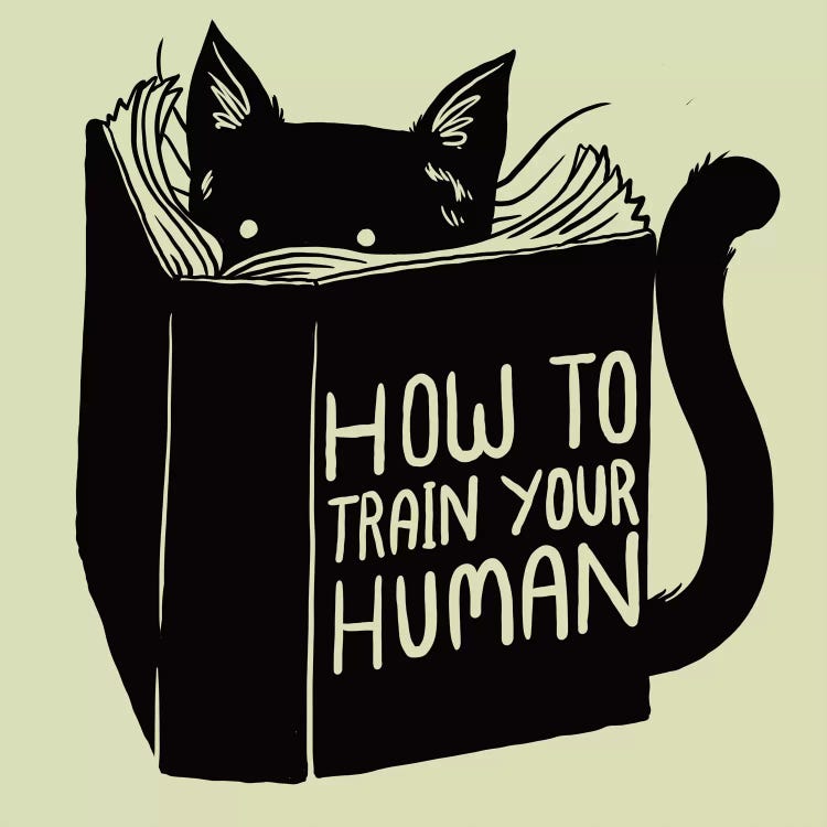 How To Train Your Human