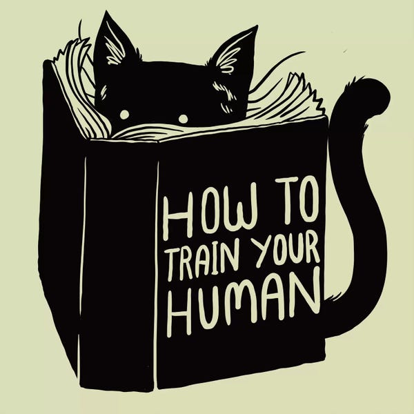 Tobias Fonseca: How To Train Your Human by Tobias Fonseca