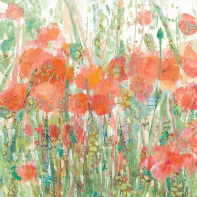 Dewey Poppies I by Tara Funk Grim canvas print