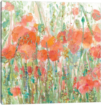 Dewey Poppies I Canvas Art Print