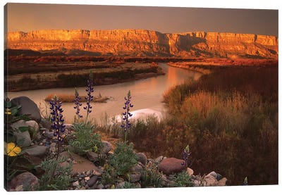 Sierra Ponce And Rio Grande, Big Bend National Park, Texas Canvas Art Print - United States of America Art
