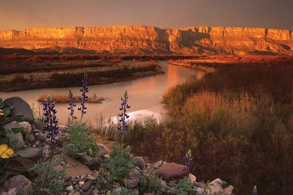 Sierra Nevada: Sierra Ponce And Rio Grande, Big Bend National Park, Texas by Tim Fitzharris