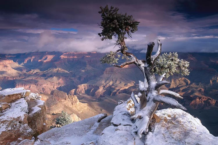 South Rim Of Grand Canyon With A Dusting Of Snow Seen From Yaki Point, Grand Canyon National Park, Arizona by Tim Fitzharris wall art