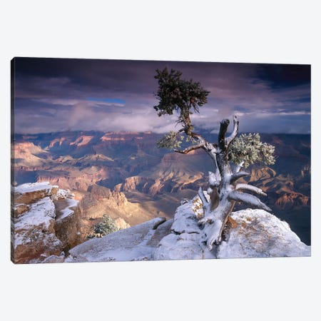 South Rim Of Grand Canyon With A Dusting Of Snow Seen From Yaki Point, Grand Canyon National Park, Arizona Canvas Print #TFI1022} by Tim Fitzharris Art Print