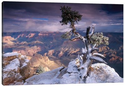 South Rim Of Grand Canyon With A Dusting Of Snow Seen From Yaki Point, Grand Canyon National Park, Arizona Canvas Art Print - Grand Canyon National Park
