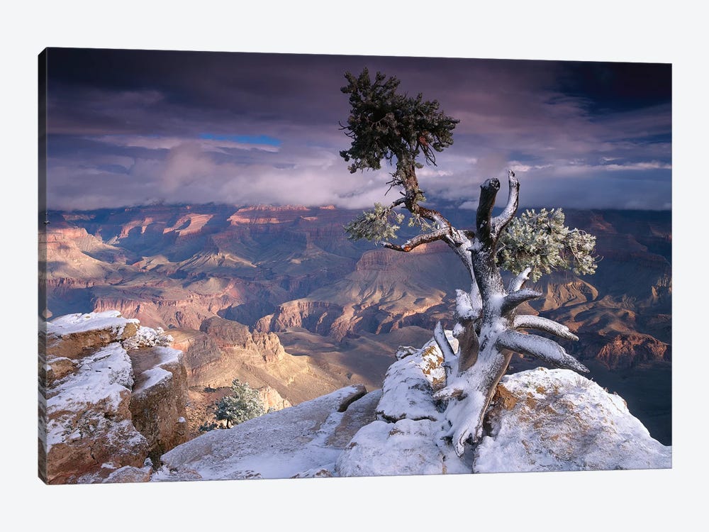 South Rim Of Grand Canyon With A Dusting Of Snow Seen From Yaki Point, Grand Canyon National Park, Arizona by Tim Fitzharris 1-piece Canvas Art Print