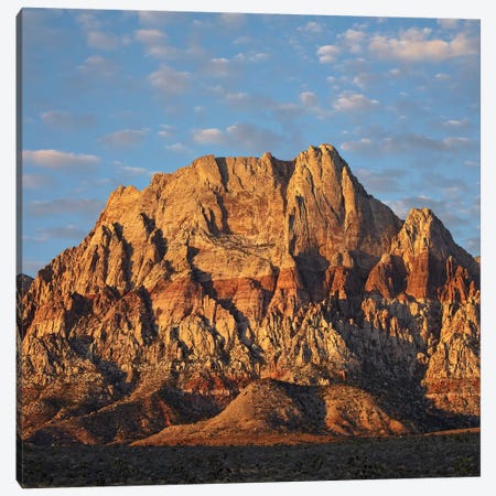 Spring Mountains, Red Rock Canyon National Conservation Area Near Las Vegas, Nevada Canvas Print #TFI1025} by Tim Fitzharris Canvas Wall Art