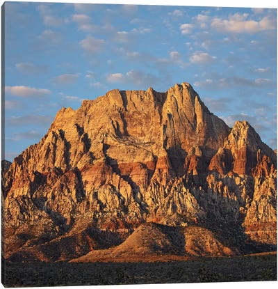 Spring Mountains, Red Rock Canyon National Conservation Area Near Las Vegas, Nevada Canvas Art Print - Nevada Art