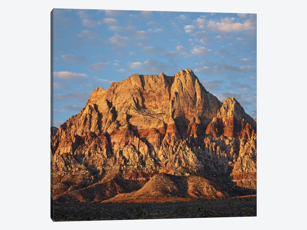 Spring Mountains, Red Rock Canyon National Conservation Area Near Las Vegas, Nevada by Tim Fitzharris 1-piece Canvas Artwork