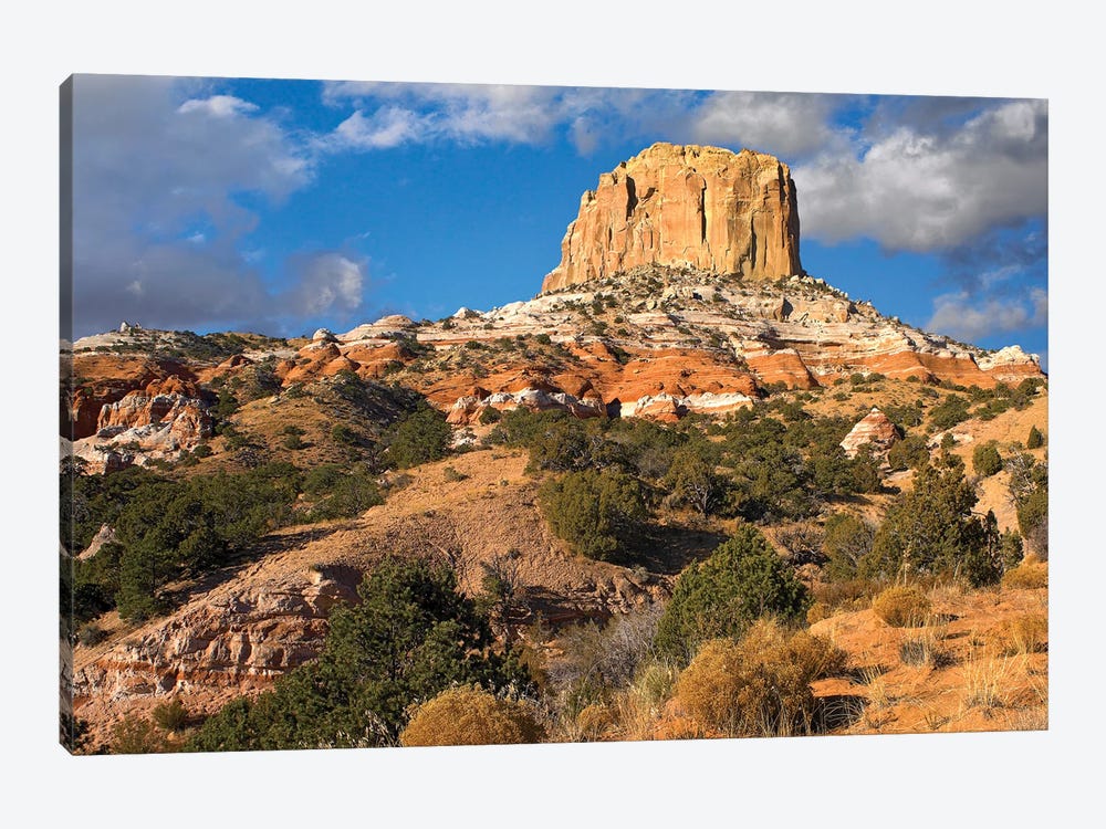 Square Butte Near Kaibito, Arizona by Tim Fitzharris 1-piece Canvas Print