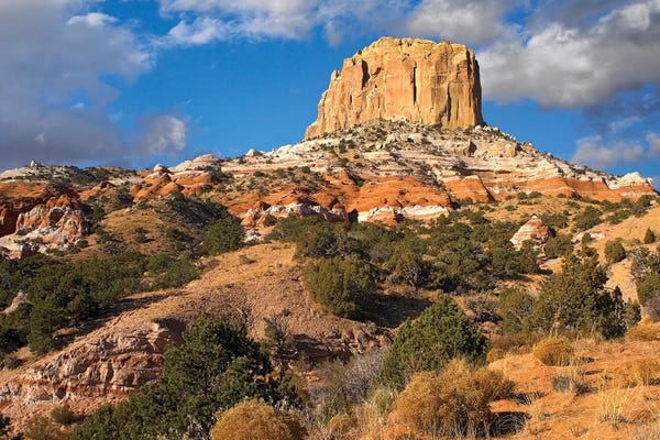Arizona: Square Butte Near Kaibito, Arizona by Tim Fitzharris