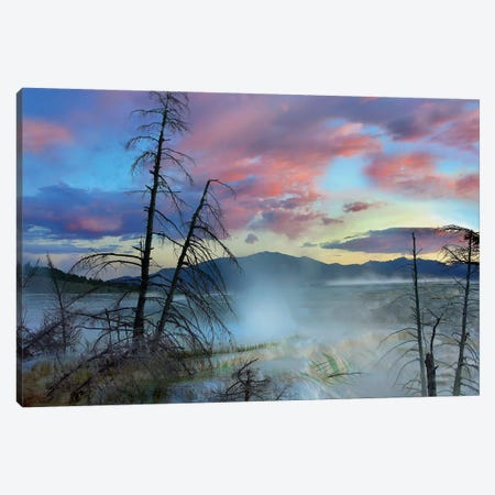 Steam Rising From Travertine Formations, Minerva Terrace, Mammoth Hot Springs, Yellowstone National Park, Wyoming Canvas Print #TFI1031} by Tim Fitzharris Canvas Artwork