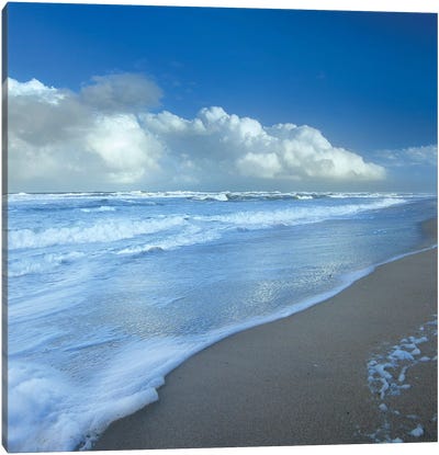 Storm Cloud Over Beach, Canaveral National Seashore, Florida Canvas Art Print - Seascape Art