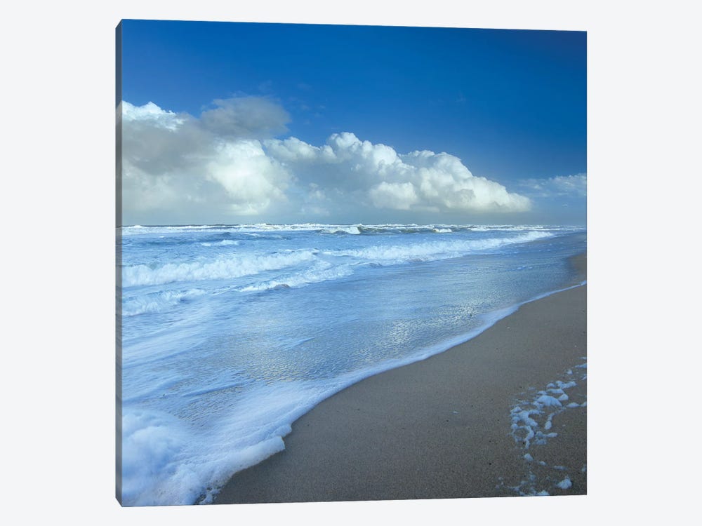 Storm Cloud Over Beach, Canaveral National Seashore, Florida by Tim Fitzharris 1-piece Art Print