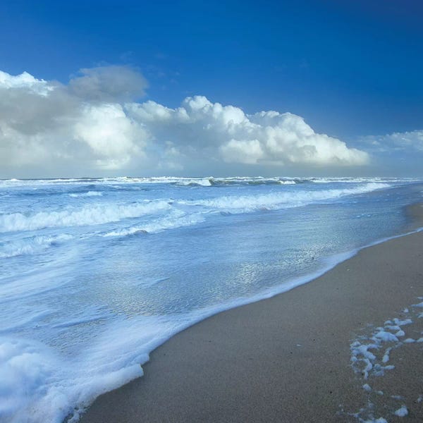 Florida: Storm Cloud Over Beach, Canaveral National Seashore, Florida by Tim Fitzharris