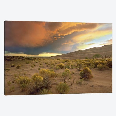 Storm Clouds Over Great Sand Dunes National Monument, Colorado Canvas Print #TFI1035} by Tim Fitzharris Canvas Print