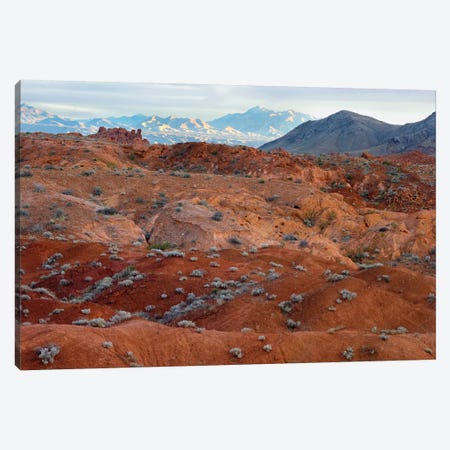 Black Mountains Surrounding Valley Of Fire State Park, Nevada Canvas Print #TFI103} by Tim Fitzharris Canvas Print