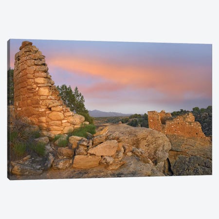 Stronghold House With Sleeping Ute Mountain, Hovenweep National Monument, Utah Canvas Print #TFI1040} by Tim Fitzharris Art Print