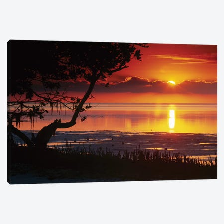 Sunset Over Anne's Beach, Florida Canvas Print #TFI1058} by Tim Fitzharris Canvas Art