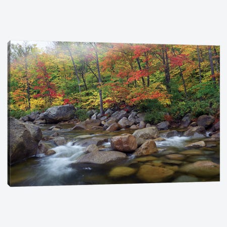 Swift River Flowing Through Fall Colored Forest, White Mountains National Forest, New Hampshire Canvas Print #TFI1071} by Tim Fitzharris Canvas Wall Art
