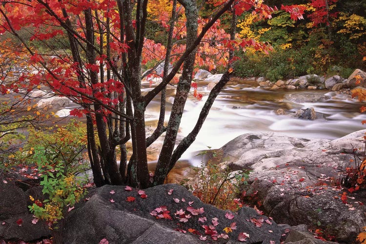 Swift River Near Rocky Gorge, White Mountains National Forest, New Hampshire