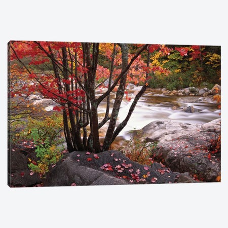 Swift River Near Rocky Gorge, White Mountains National Forest, New Hampshire Canvas Print #TFI1072} by Tim Fitzharris Canvas Artwork
