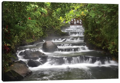Tabacon River, Cascades And Pools In The Rainforest, Costa Rica Canvas Art Print - Tim Fitzharris