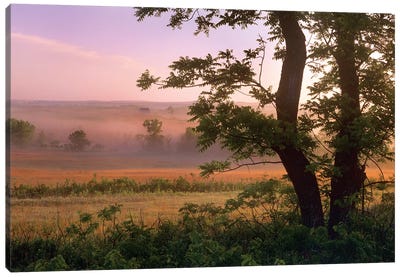 Tallgrass Prairie National Preserve, Kansas Canvas Art Print - Mist & Fog Art
