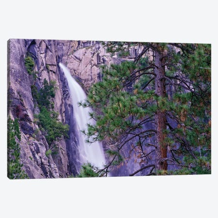 The Cascades From Yosemite National Park, California Canvas Print #TFI1084} by Tim Fitzharris Canvas Art