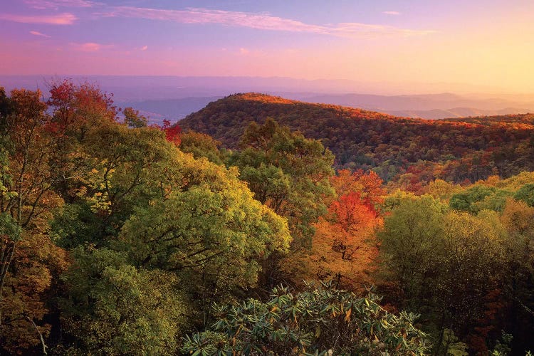 Blue Ridge Mountains With Deciduous Forests In Autumn, North Carolina